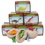 2PCS Educational Dinosaur Fossil Toys Archaeological Dig DIY